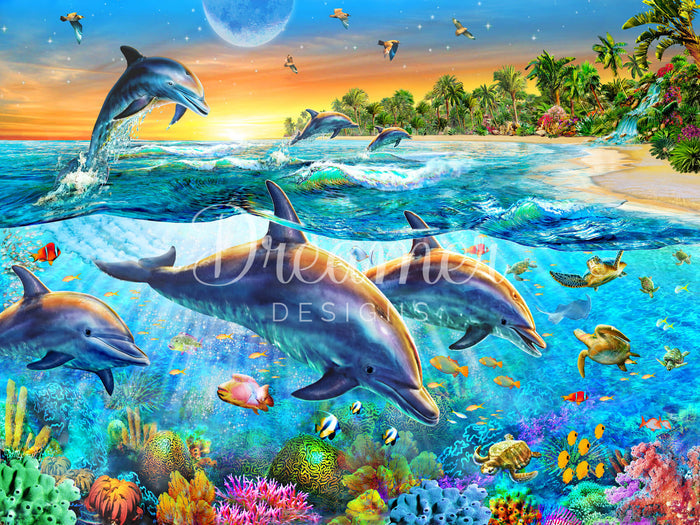 Dolphin Bay