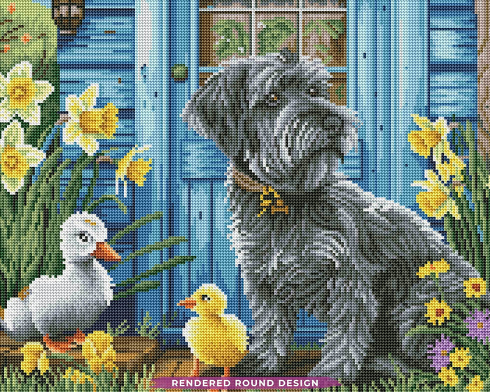 Schnauzer And Friends