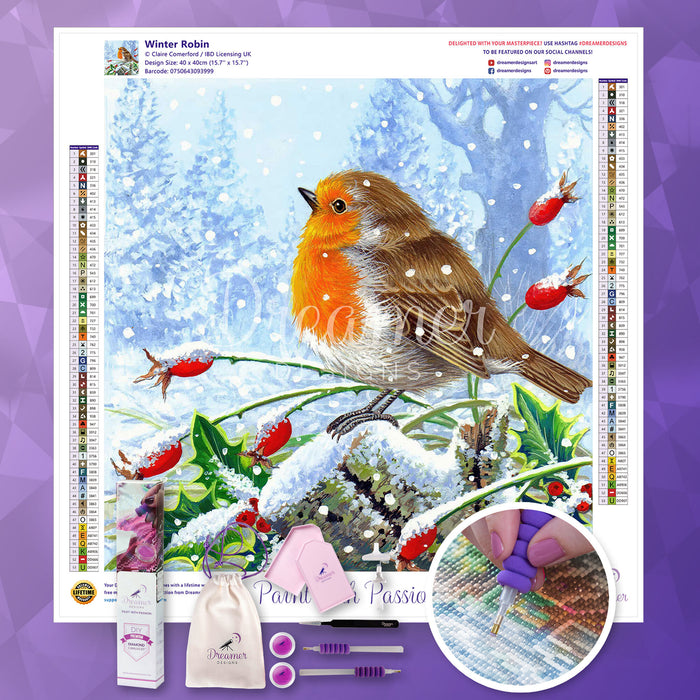Winter Robin